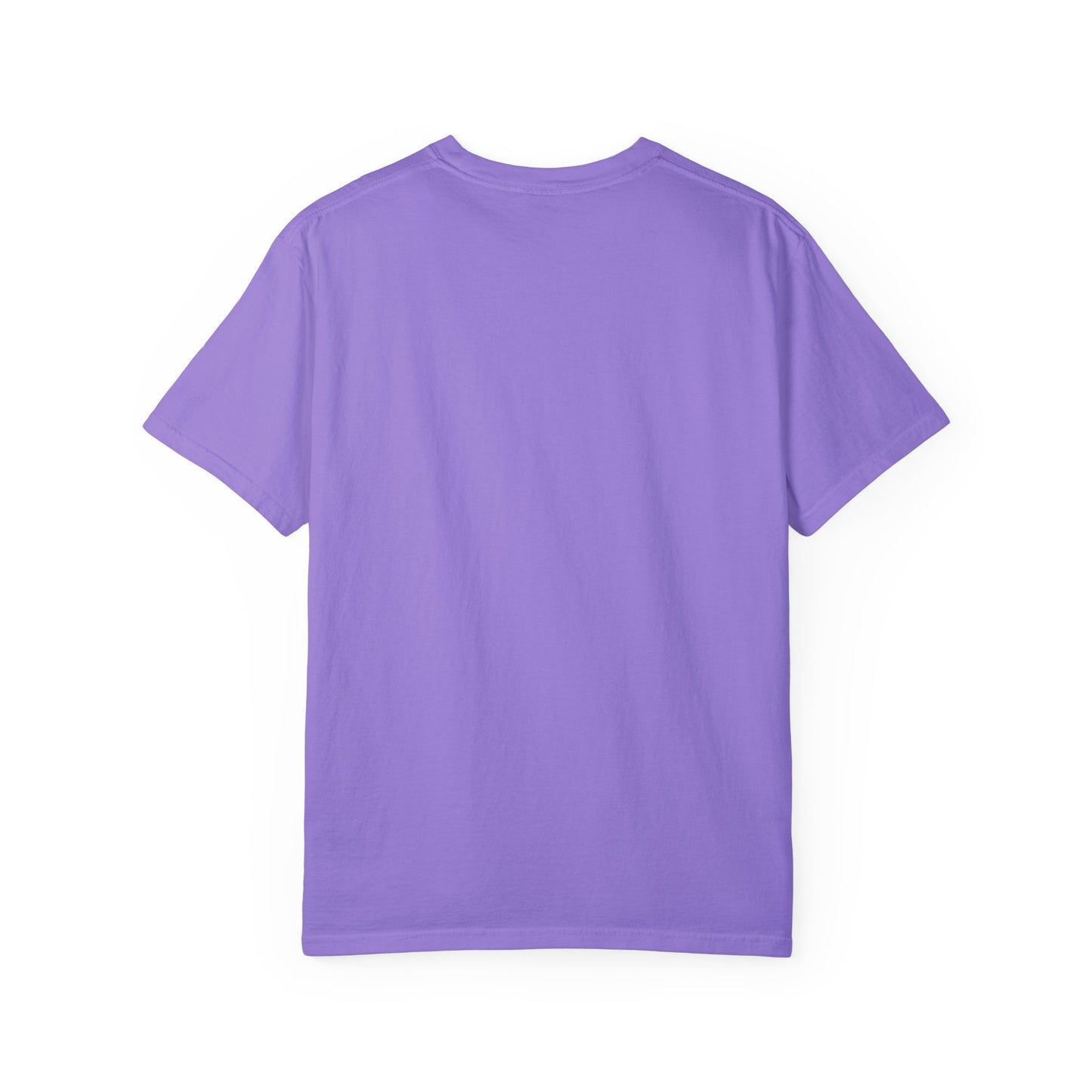 Penguin Beach Vibes Unisex Garment-Dyed T-Shirt - AitaAma
