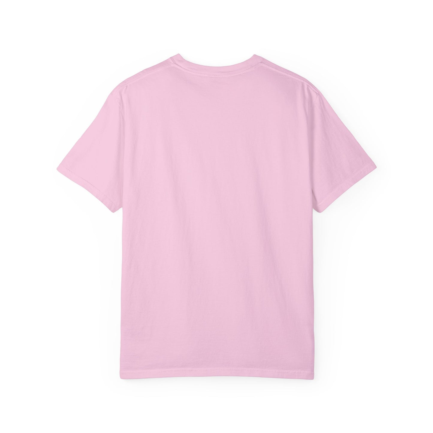 Penguin Beach Vibes Unisex Garment-Dyed T-Shirt - AitaAma